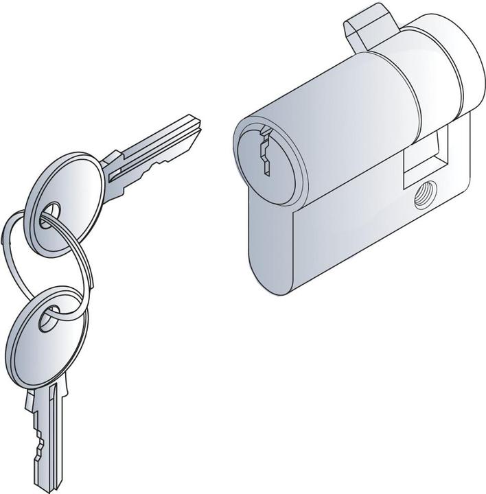 Schroff Novastar DIN Profil Halbzylinder mit 2 Schlüssel