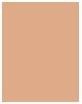 Produktbild Estée Lauder Double Wear Stay-In-Place (Medium 7)