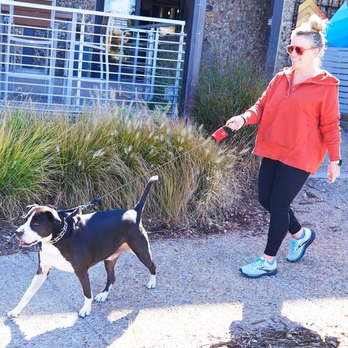 Actual product image Nite Ize RadDog Retractable Pocket Leash (Dog, General)