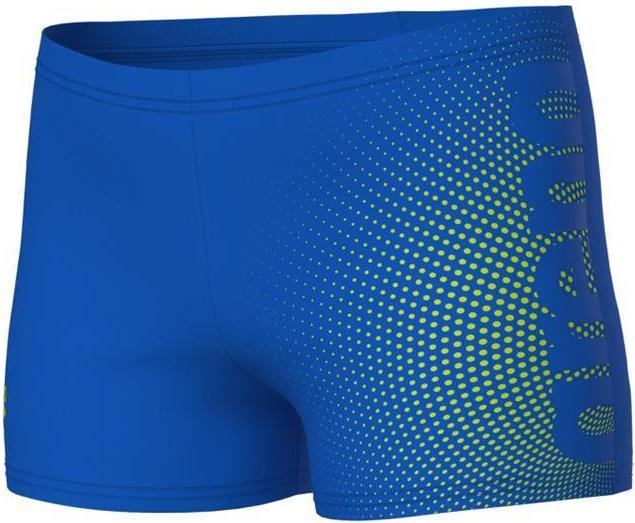 Actual product image Arena B Dim Light Swim Short (140)