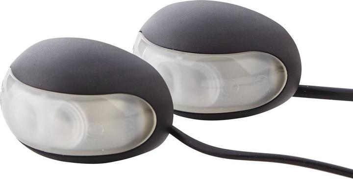 Image du produit Hella 2 feux de gabarit à LED pour DAF