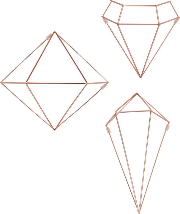 Actual product image Umbra Prism