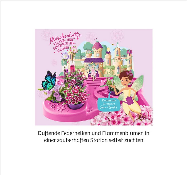 Actual product image Kosmos Fairy Garden