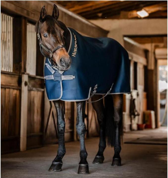 Horseware Abschwitzdecke Rambo Airmax