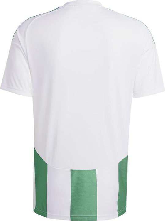 Produktbild adidas Striped 24 Trikot (L)