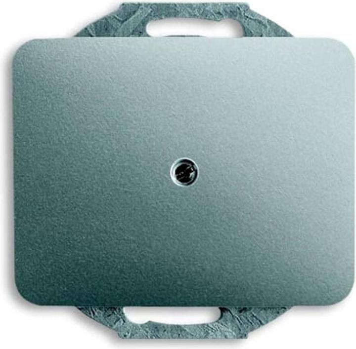 Actual product image Busch-Jaeger Central disk