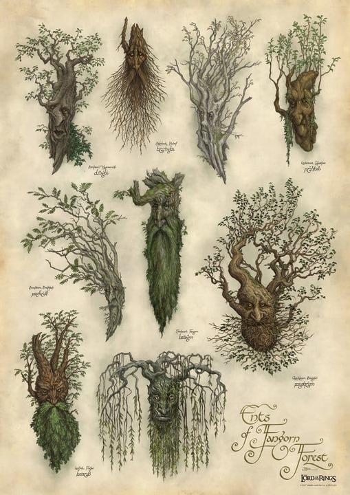 Produktbild Weta Workshop Le Seigneur des Anneaux impression Art Print Ent's of Fangorn Forest 59 x 30 cm (40.80 x 1 cm)