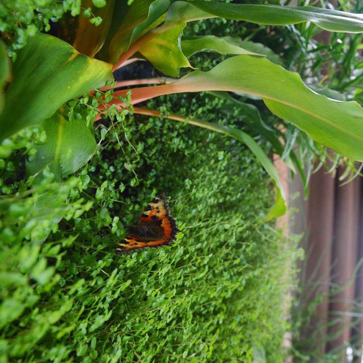 Produktbild Vivit Inox - Vertikaler Garten