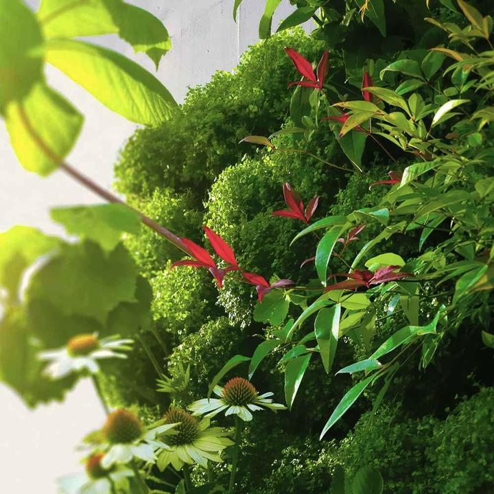 Produktbild Vivit Inox - Vertikaler Garten