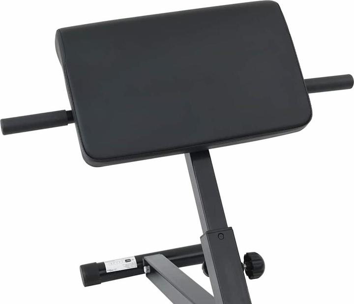 Produktbild vidaXL Hyperextensionsbank