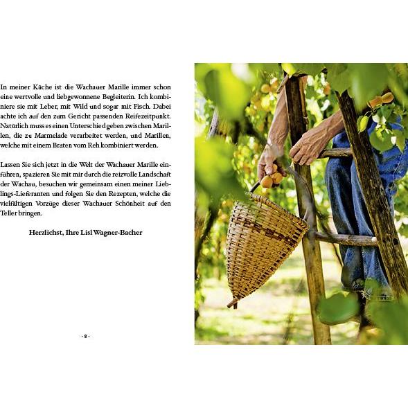 Thumbnail - Das kleine Buch: Meine besten Marillenrezepte, Ratgeber von Lisl Wagner-Bacher