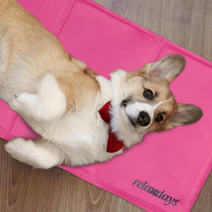 Produktbild Relaxdays Kühlmatte Hund (Hund)