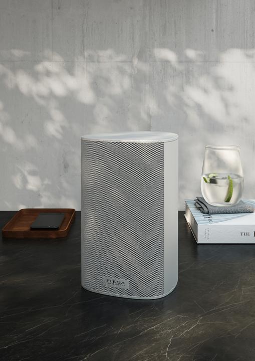 Actual product image Piega Ace 30 Wireless RX (1 pcs., 100 W)