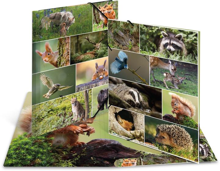 Produktbild HERMA Sammelmappe A3 Motiv (A3, 1x)