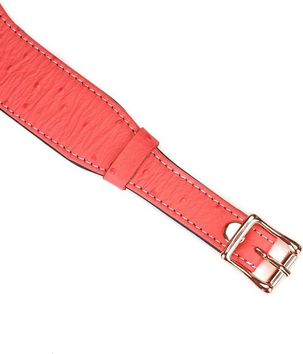 Produktbild Liebe Seele Angel's Kiss Leder Halsband im Straussenleder-Look mit Leine "O-Ring"