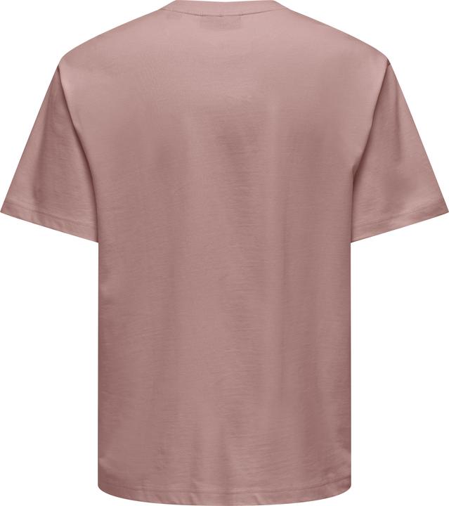 Produktbild Only & Sons Onsfred Life Rlx Ss Tee Noos (M)