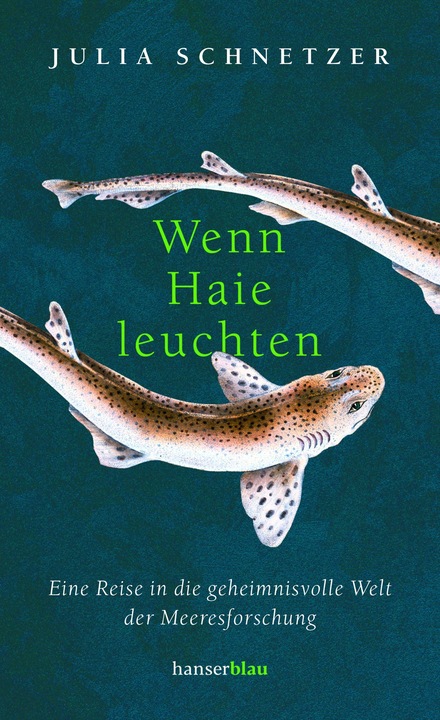 Produktbild Hanserblau Wenn Haie leuchten (Deutsch, Julia Schnetzer, 2021)
