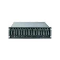 IBM DS4700 EXPRESS MODEL 70 (2GB, RAM