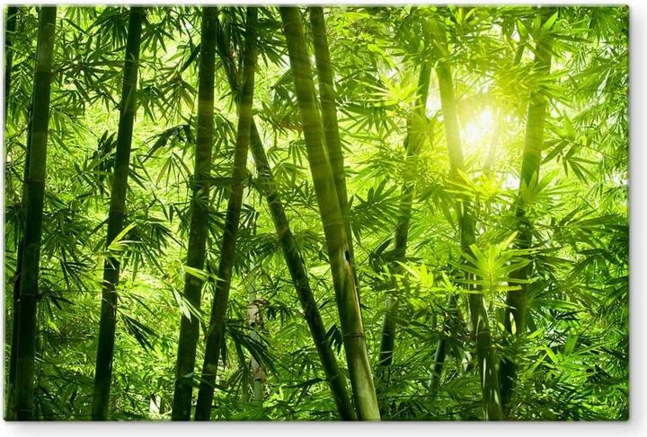 Immagine prodotto Trenddeko Il sole nella foresta di bambù (40 x 60 cm)