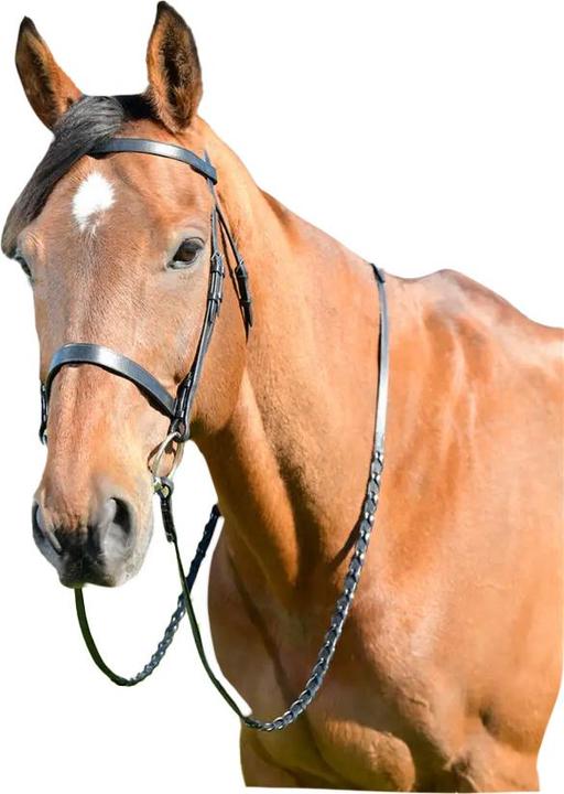 Kincade Bridon plat avec rênes Chevaux Classic cuir