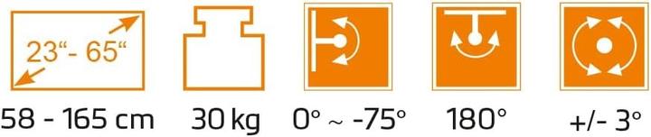 Image du produit myWall Support plafond motorisé & pliable pour écran plat (Plafond, 30 kg, 23" - 65")