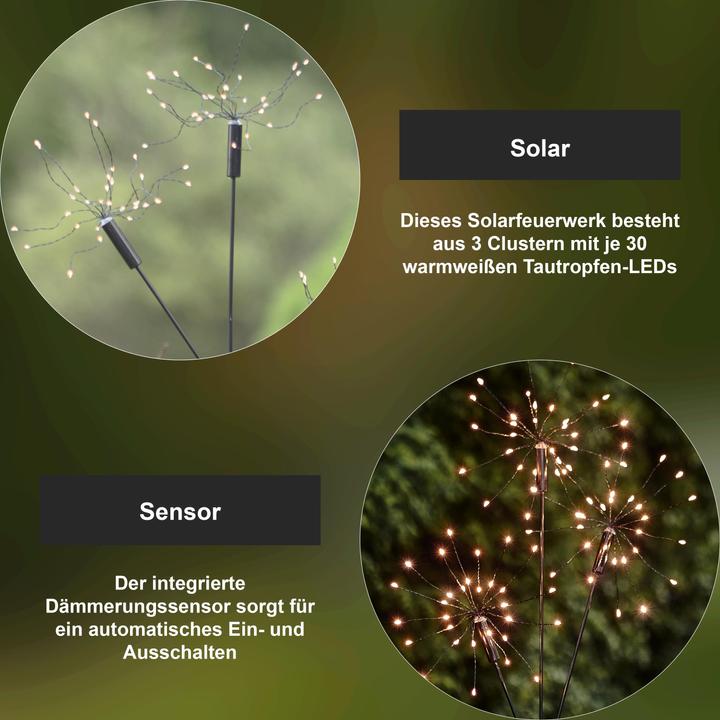 Image du produit Star Trading Firework (IP44)