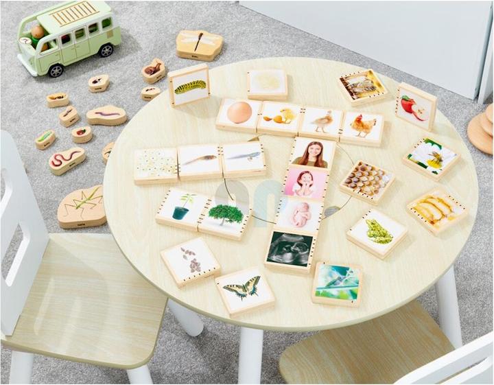Actual product image TickiT Wooden life sequence picture tiles