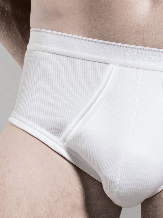 Actual product image ISA Bodywear Briefs with intervention (L, Single pack)