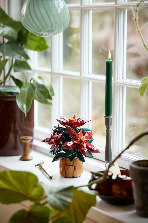 Immagine prodotto LEGO Stella di Natale (10370, LEGO Icons)