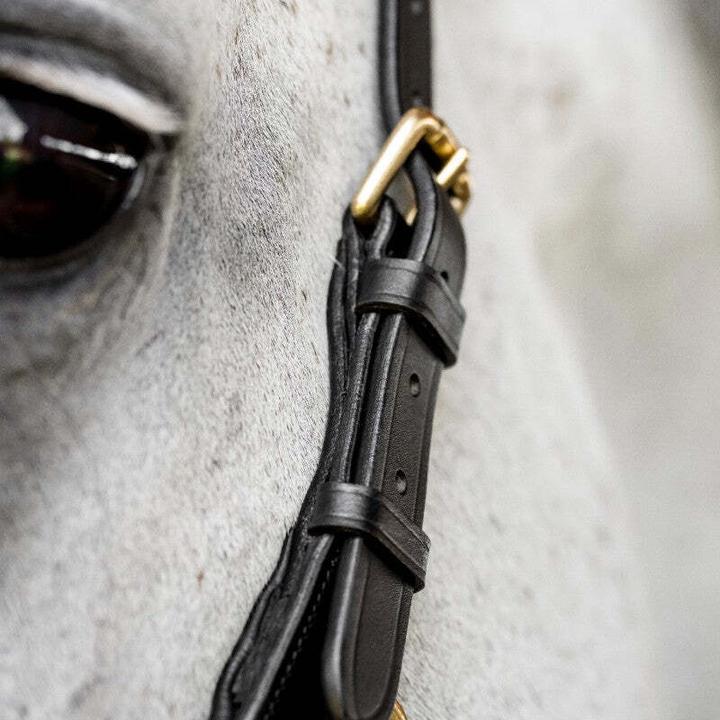 Image du produit Horseware Micklem Multi