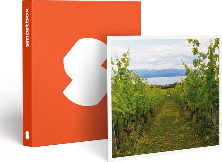 Actual product image Smartbox Tasting of 4 wines for 2 people, guided tour of the wine cellars and bottle to take away in the (2 pers.)