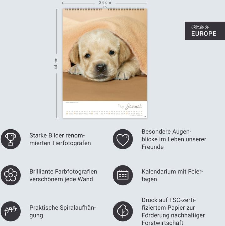 Actual product image Hundekinder Posterkalender 2026