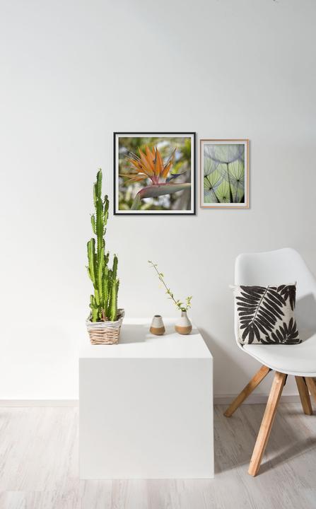 Productafbeelding Nielsen Accent (21 x 30 cm)