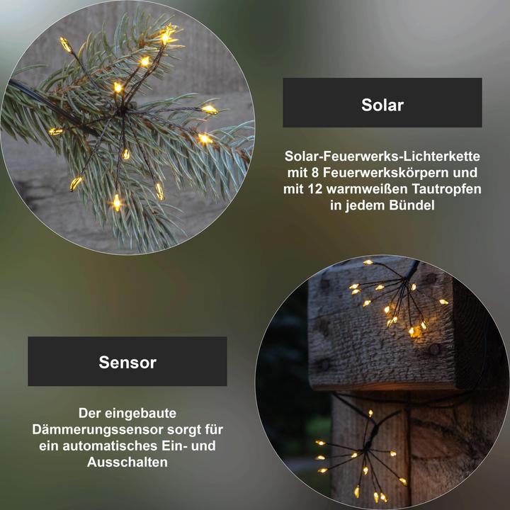 Image du produit Star Trading Firework (IP44)