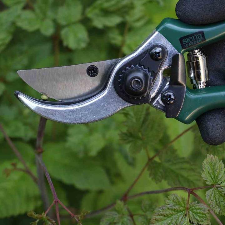 Productafbeelding Siena Garden Allzweckschere