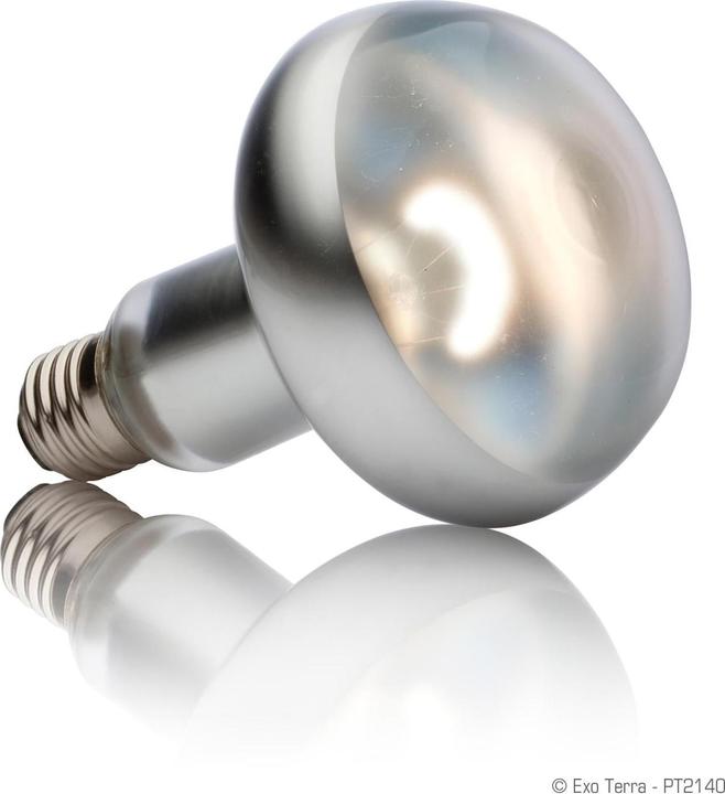 Immagine prodotto Exo Terra Lampada a spot di calore Sun Glo (UVA)
