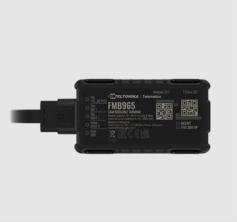 Immagine prodotto Teltonika FMB965 - Tracker impermeabile a basso consumo energetico