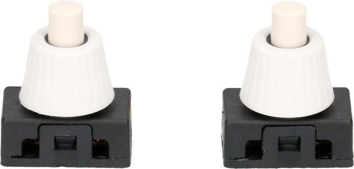 Actual product image Max Hauri Built-in pressure switch 1-pole