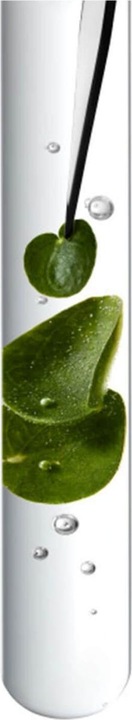 Produktbild Kérastase Chroma Absolu Bain Chroma Respect (250 ml, Flüssiges Shampoo)