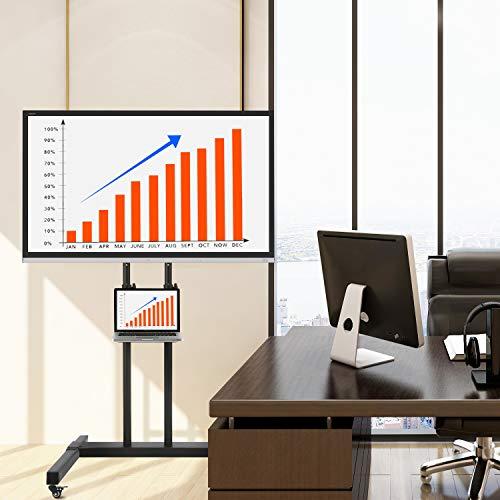 Actual product image River Systems Universal TV Stand (75", 50 kg)