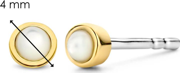 Produktbild Ti Sento Milano Ohrstecker (925er Silber)