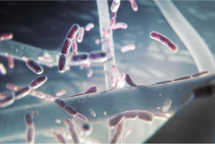 Produktbild Electrolux BREEZE Complete air filter (1x)