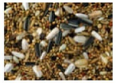 Produktbild Schweizer Grossittichfutter (1x, 1 kg)