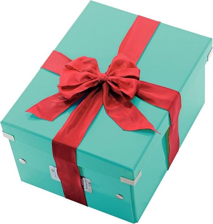 Actual product image Leitz Folder Style PP (A4, 1x)