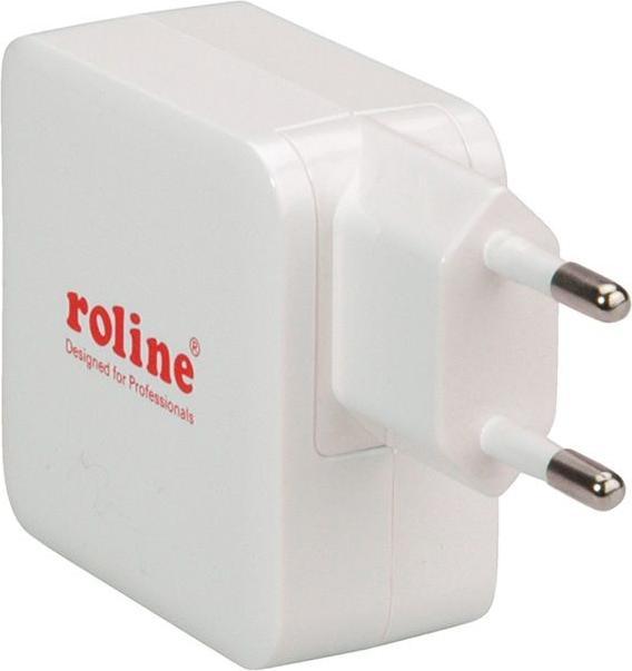 Actual product image Roline 19111024 (24 W)