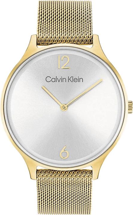 Immagine prodotto Calvin Klein Timeless Mesh Damenuhr 25200003 + BOX