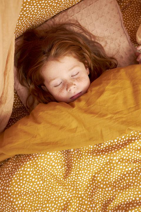 Image du produit Meyco Home Literie 240x200/220 Cheetah/Uni honey gold