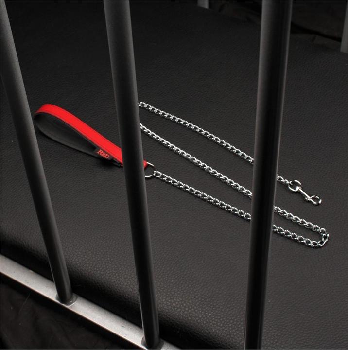 Immagine prodotto The Red Leine mit Ledergriff