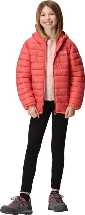 Produktbild Regatta Marizion Steppjacke mit Kapuze (158)