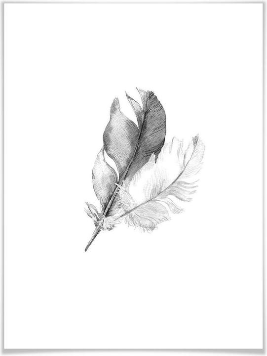 Image du produit Trenddeko plumes (40 x 50 cm)